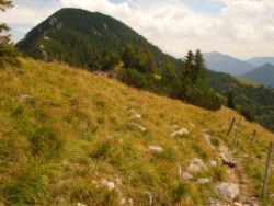 2013-08-25_Risserkogel (116).JPG